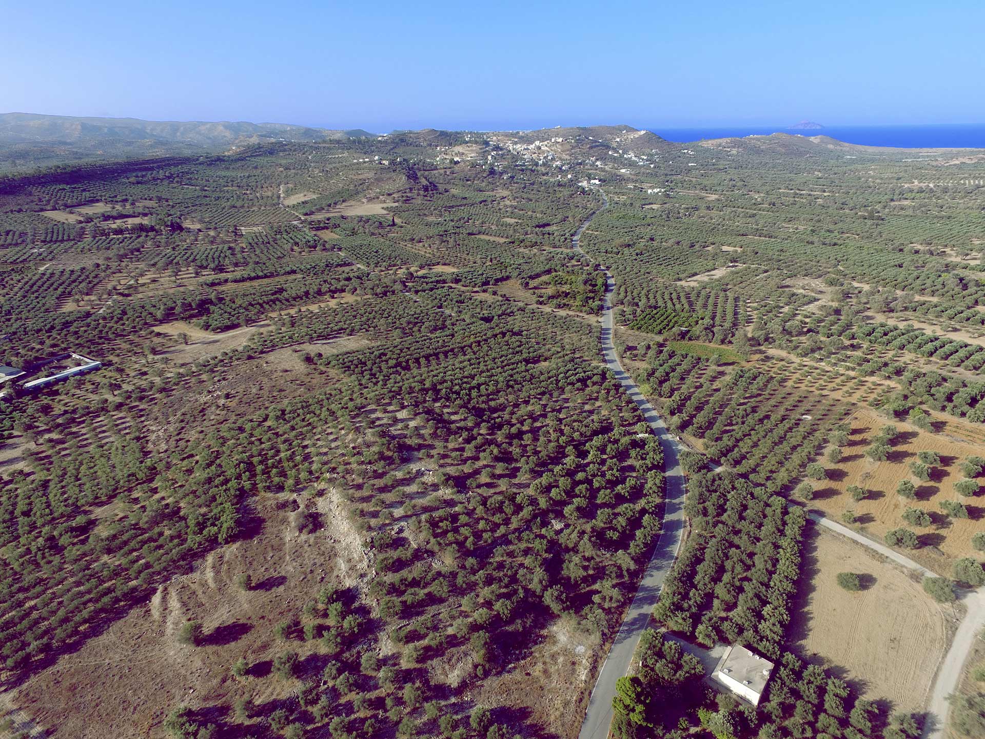 dji_0982