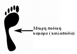 Εικόνα 3